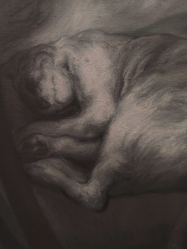 img 20241220 124941 edit 1920714719413604